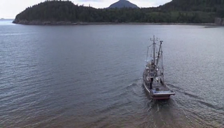 Have island, will film; Boll’s motto no doubt.